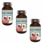 Pack Biokygen Alho + Harpago