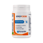 ergycebe
