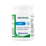 ergybase