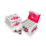 Embalagem do Fostprint Plus 15ml x 20 ampolas da Soria Natural, suplemento energético para maior vitalidade e desempenho físico.