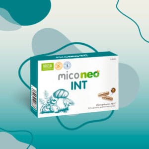 Suplemento com 60 cápsulas à base de cogumelos medicinais e ingredientes funcionais, desenvolvido para apoiar a integridade da mucosa intestinal, modular a resposta imune e melhorar o conforto digestivo. Ideal para promover saúde intestinal e proteção imunológica.
